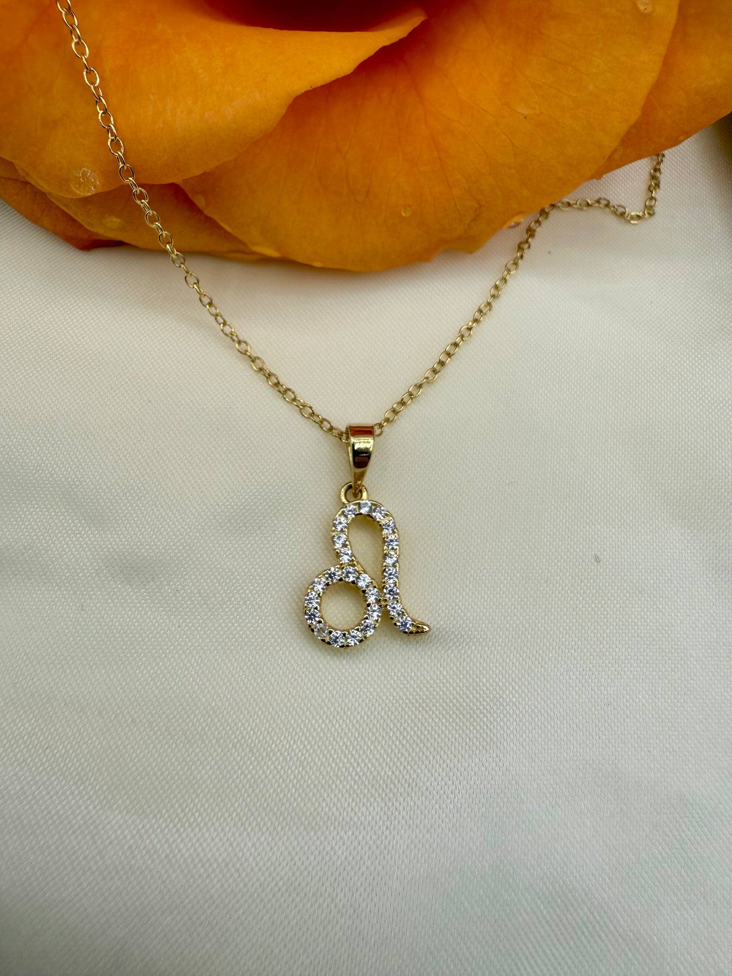 Zodiac Symbol Necklace