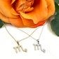 Zodiac Symbol Necklace