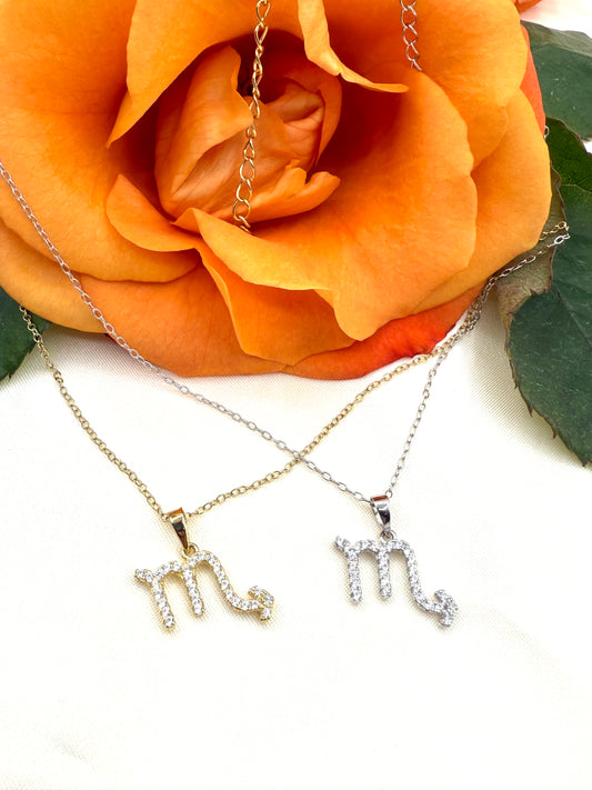 Zodiac Symbol Necklace
