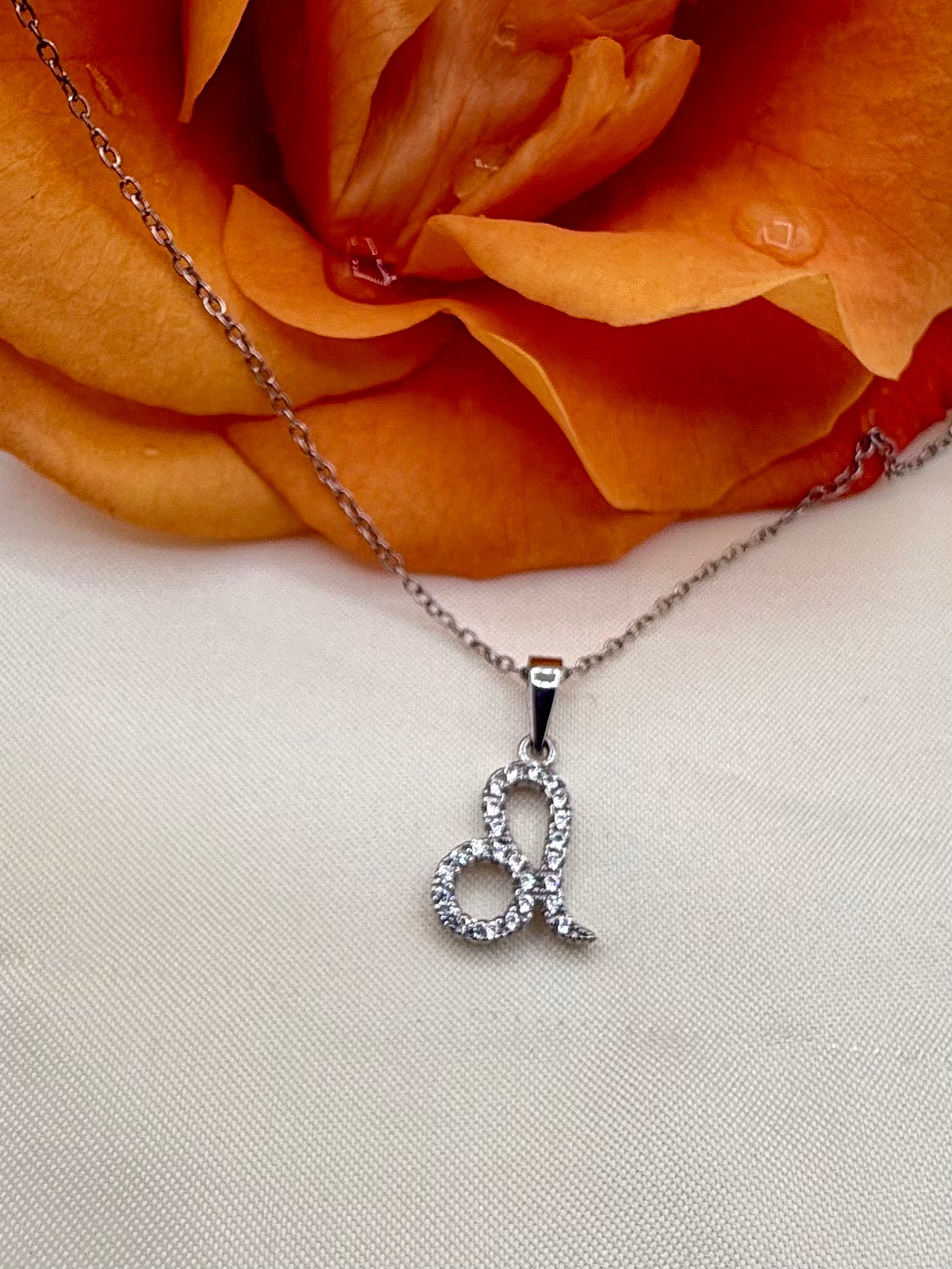 Zodiac Symbol Necklace