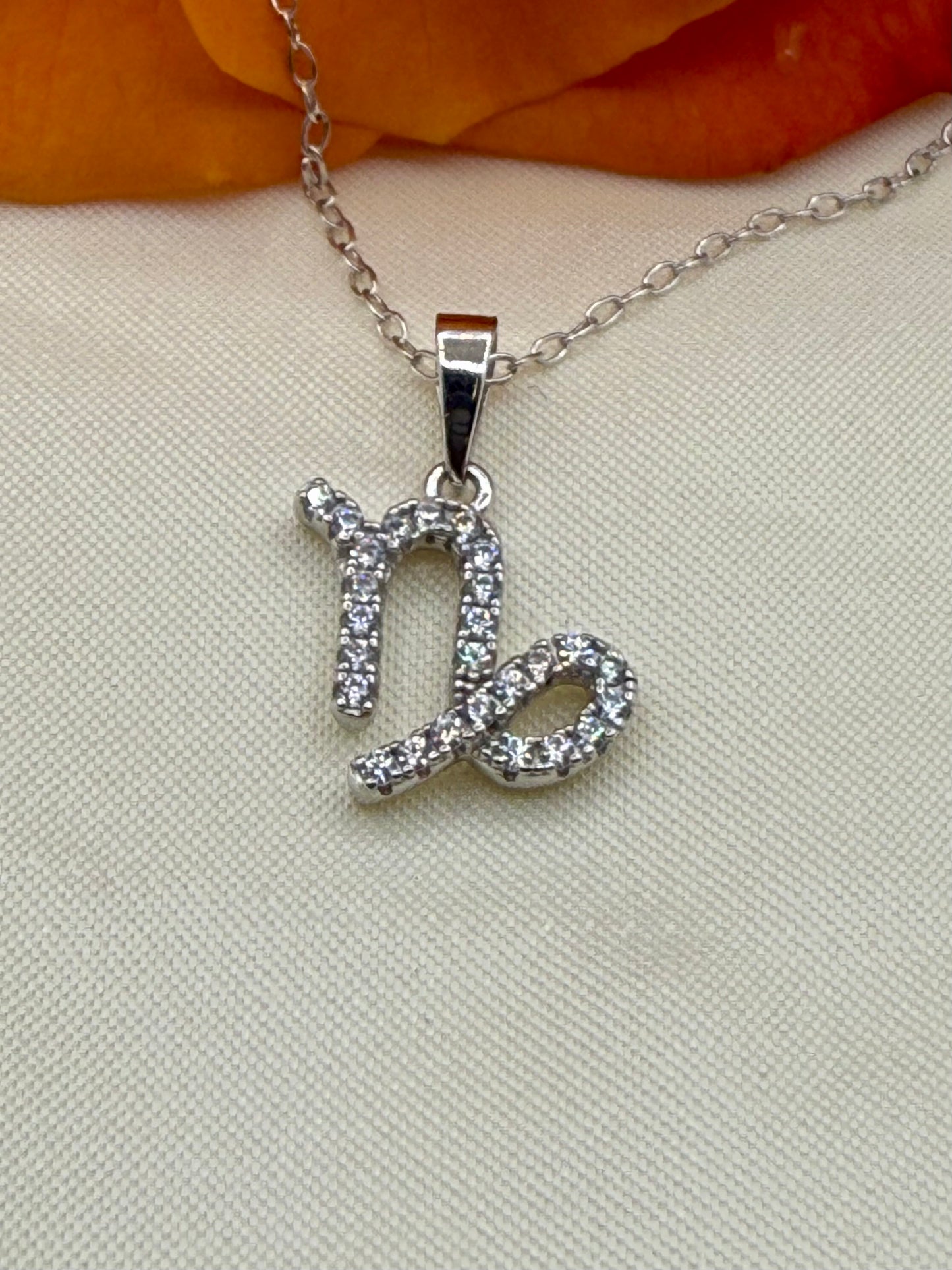 Zodiac Symbol Necklace