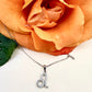 Zodiac Symbol Necklace