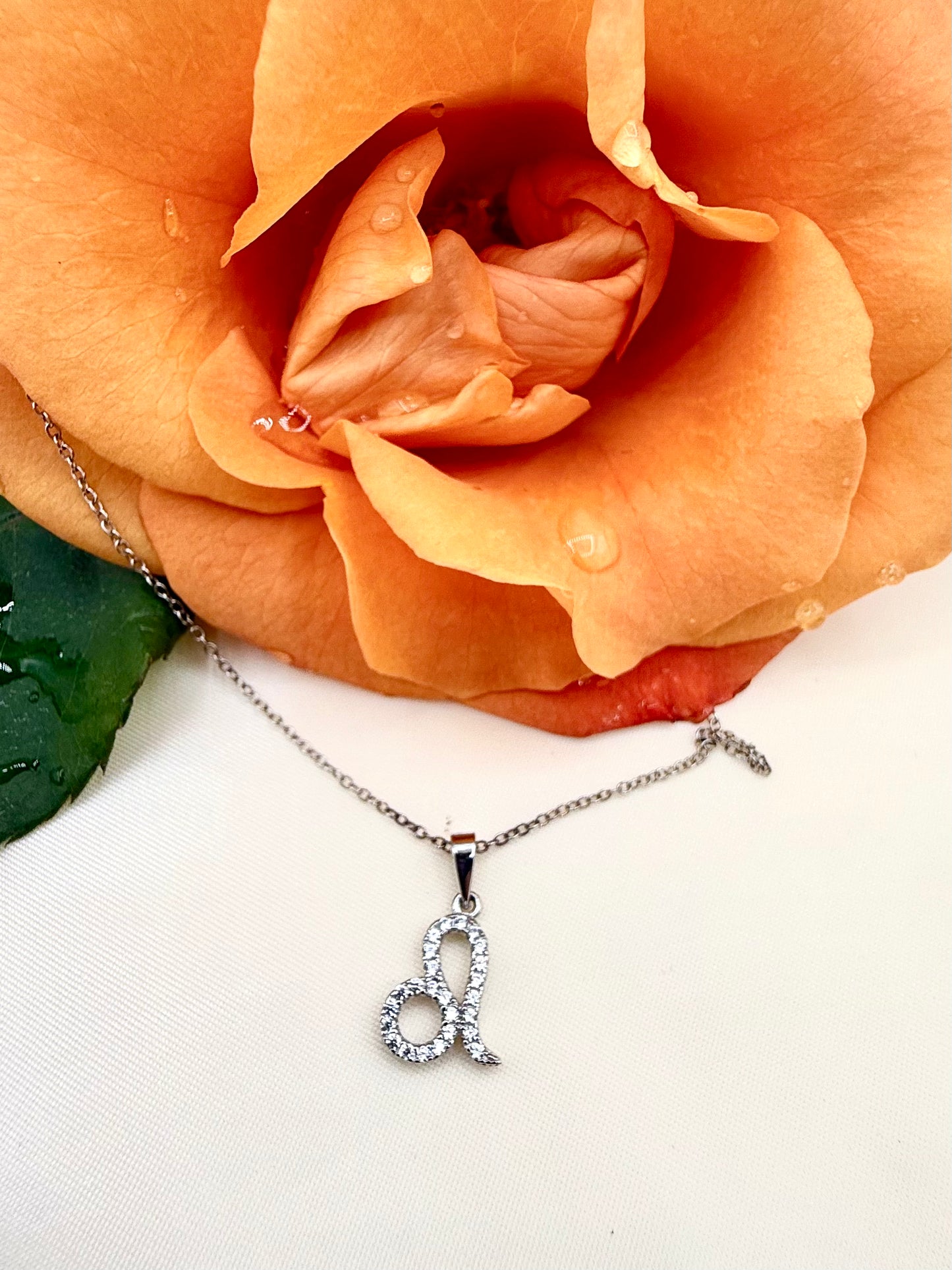 Zodiac Symbol Necklace