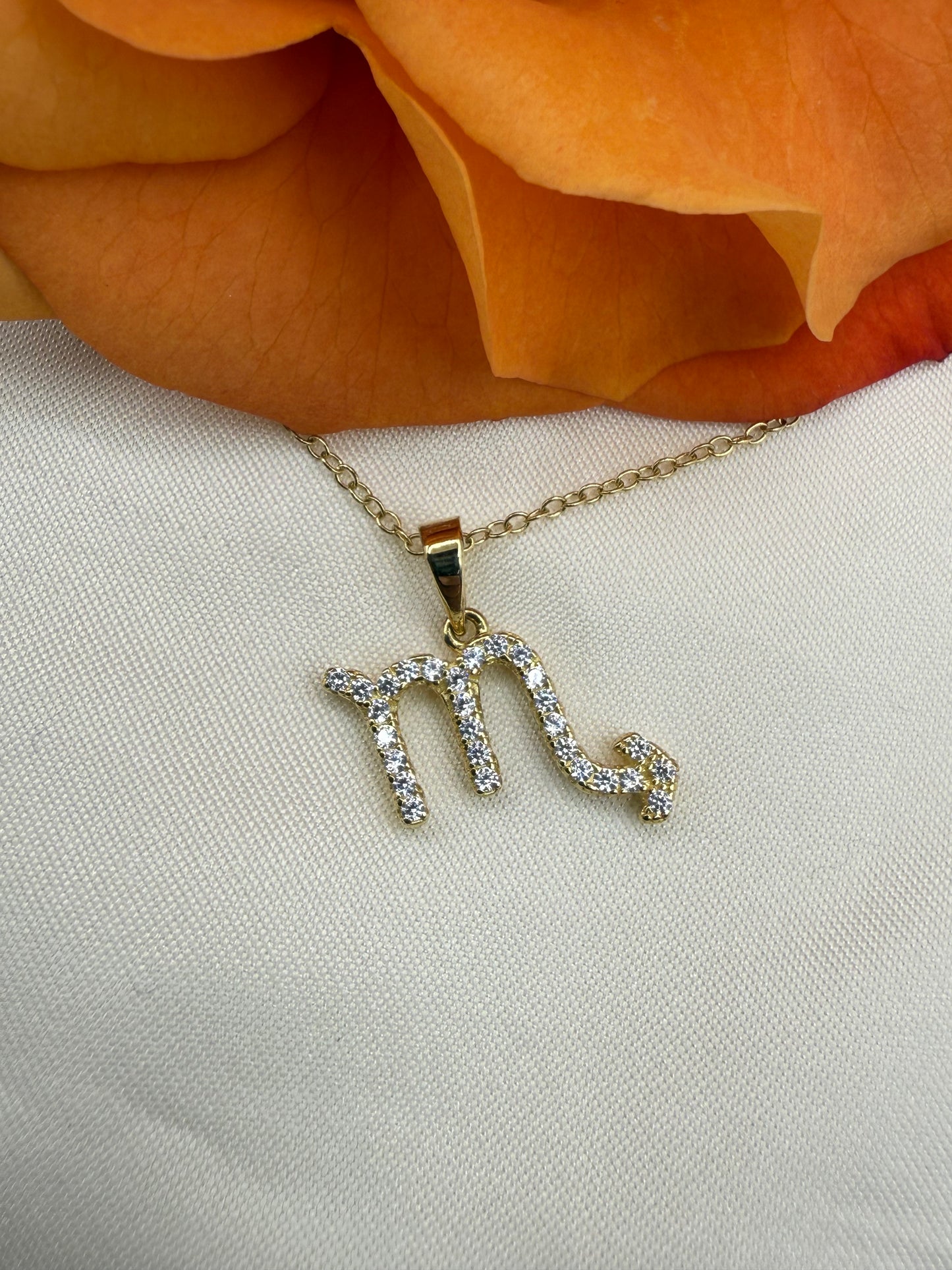 Zodiac Symbol Necklace