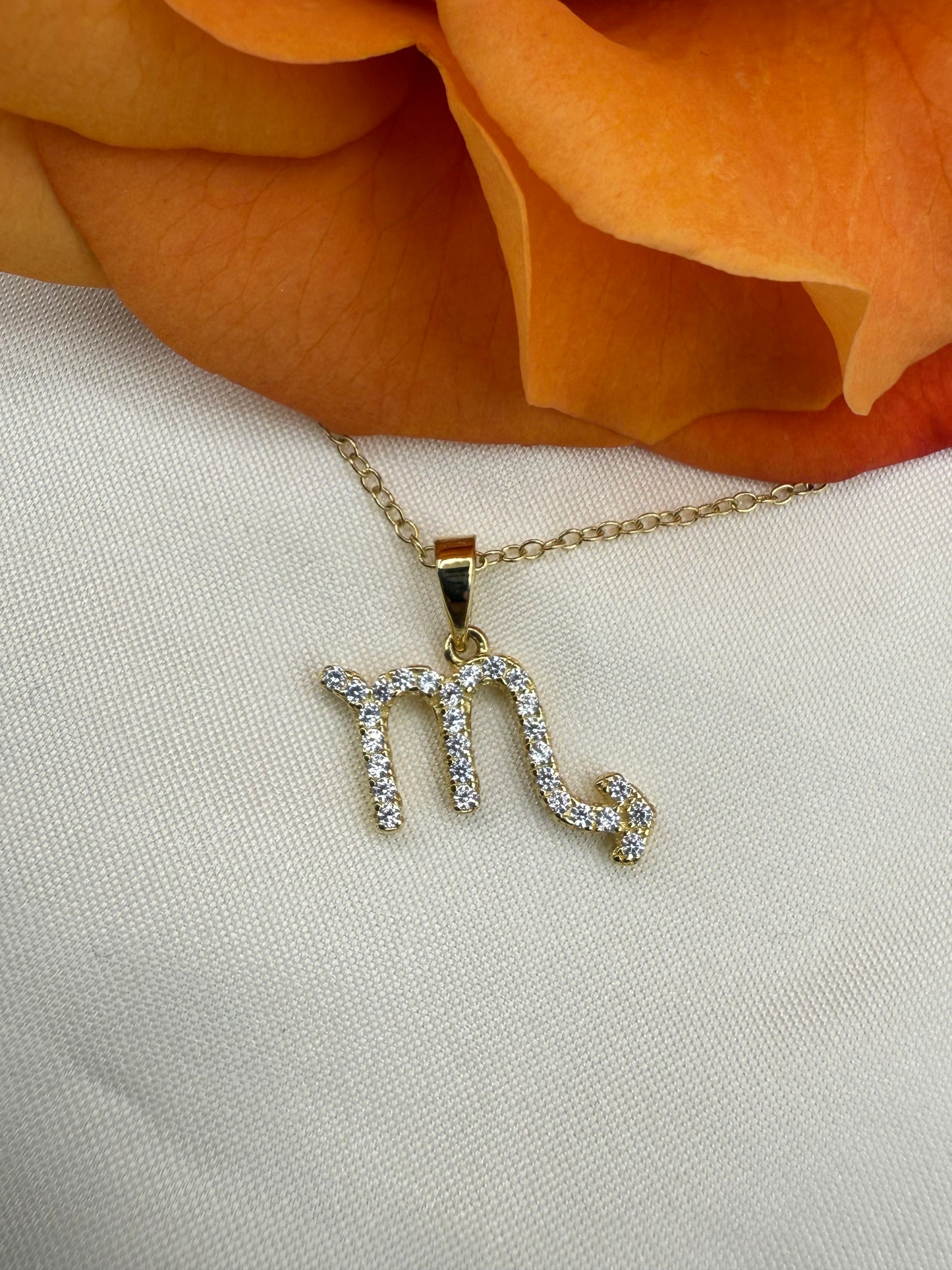 Zodiac Symbol Necklace