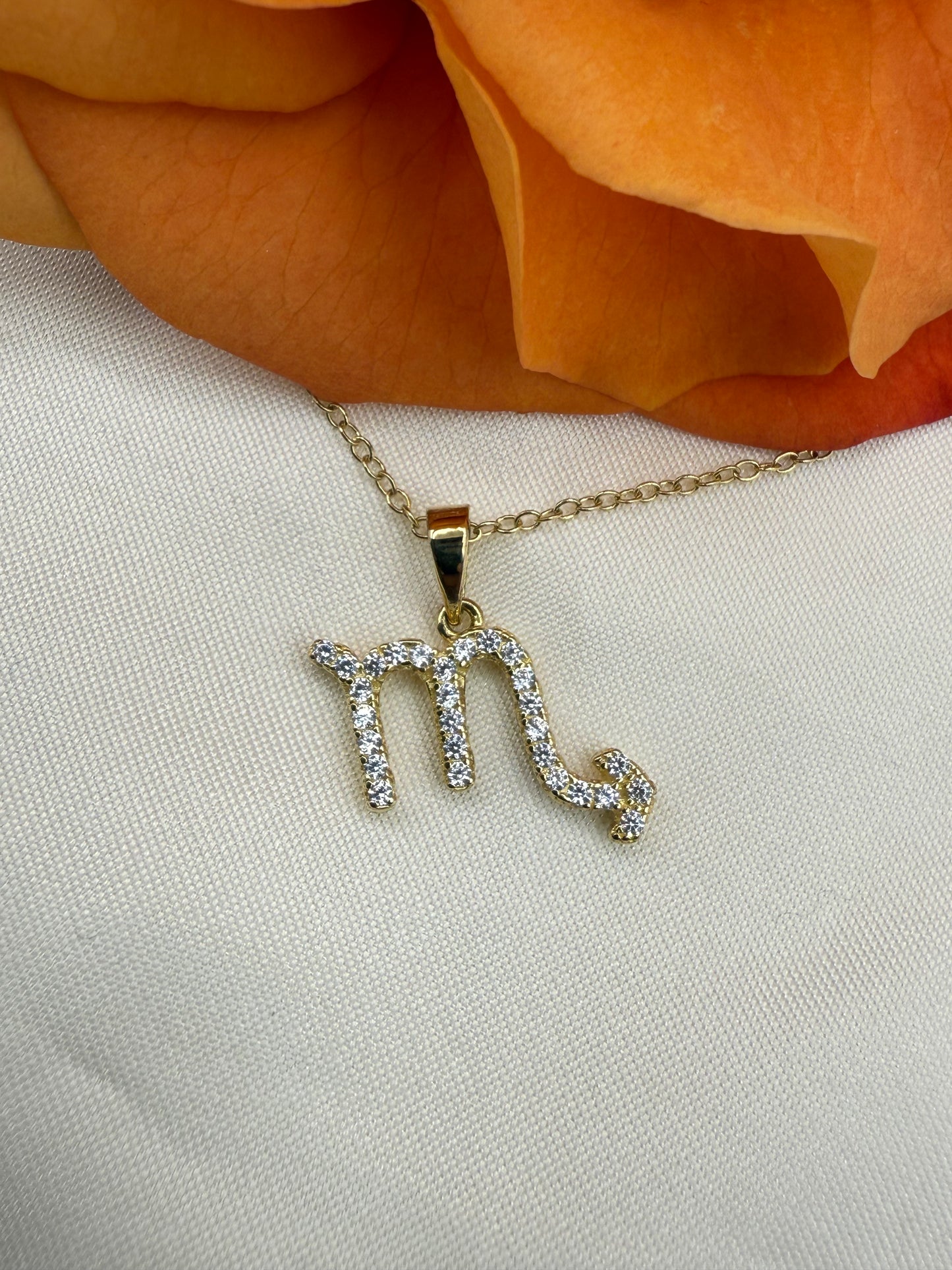 Zodiac Symbol Necklace