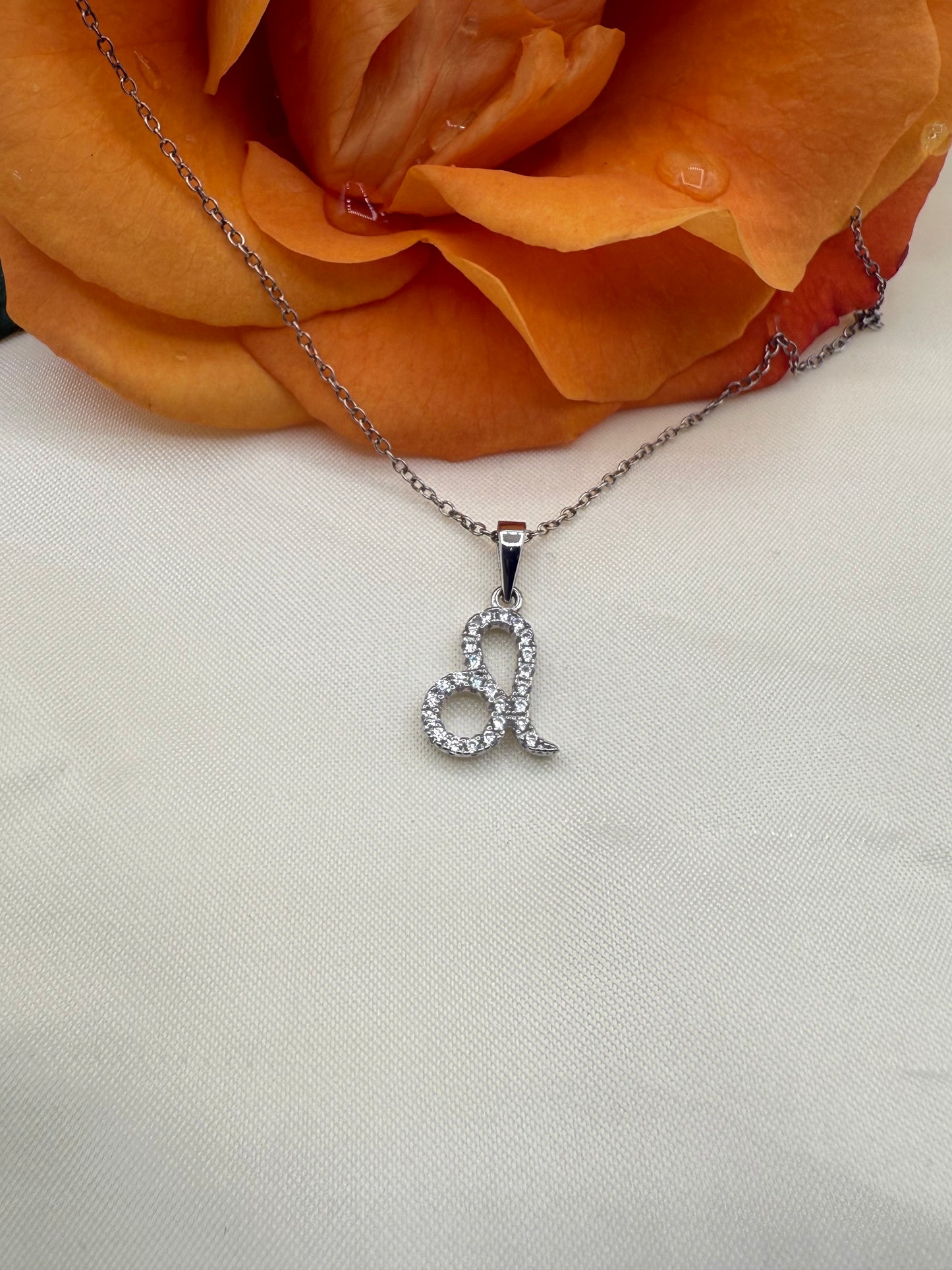 Zodiac Symbol Necklace