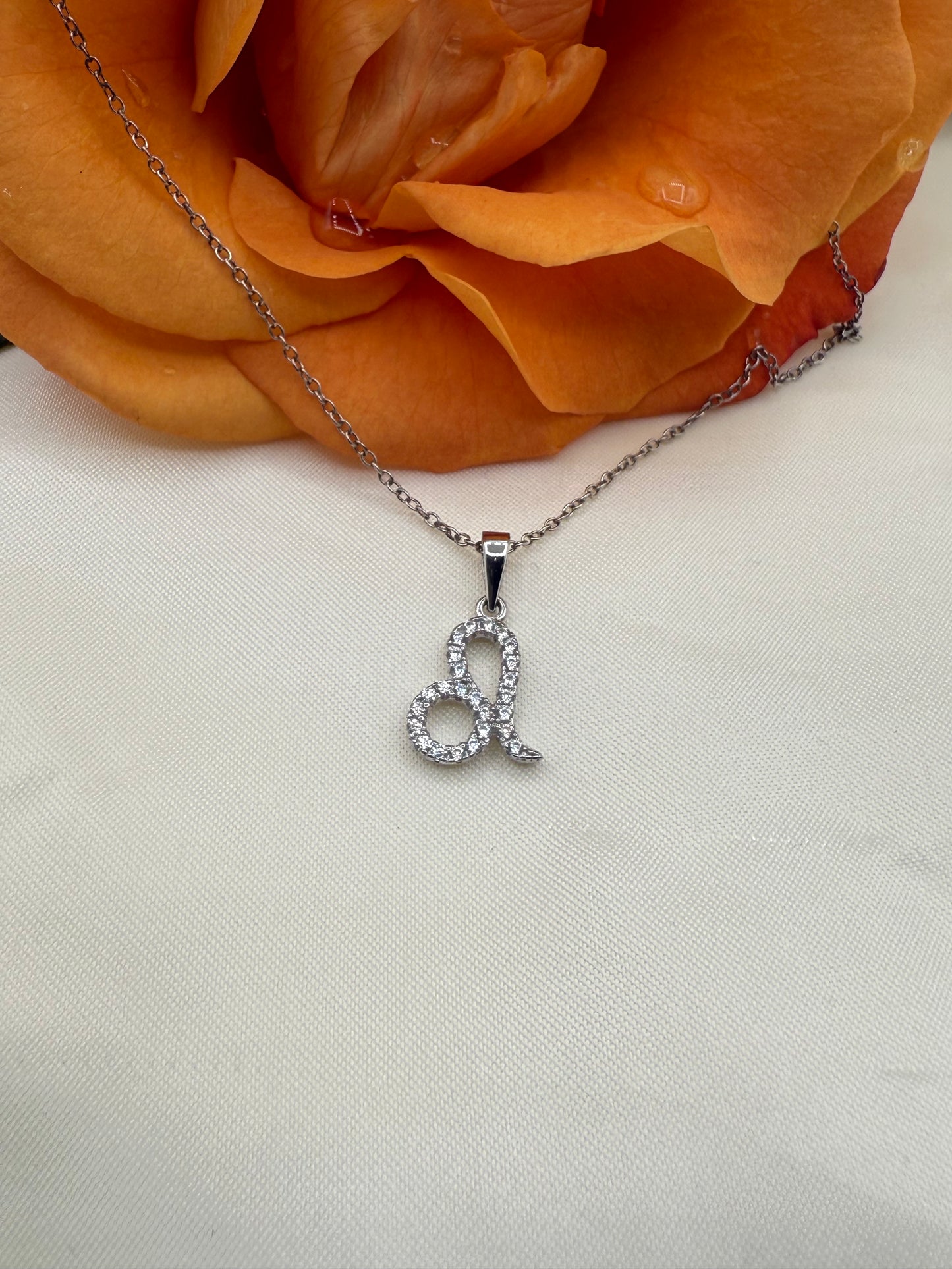 Zodiac Symbol Necklace