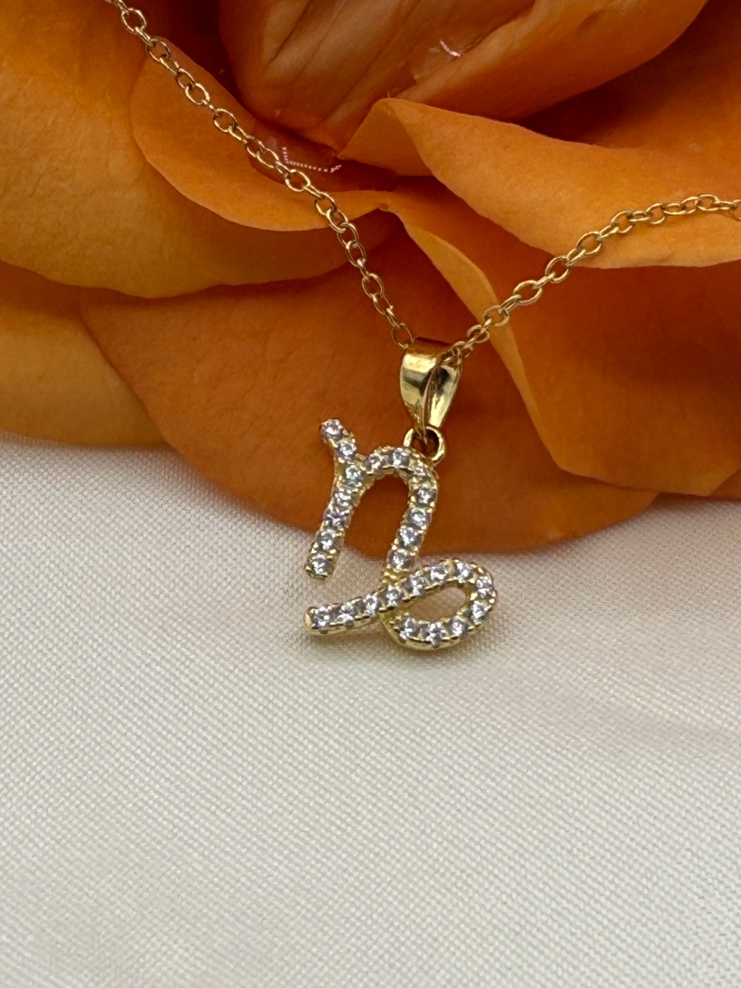 Zodiac Symbol Necklace