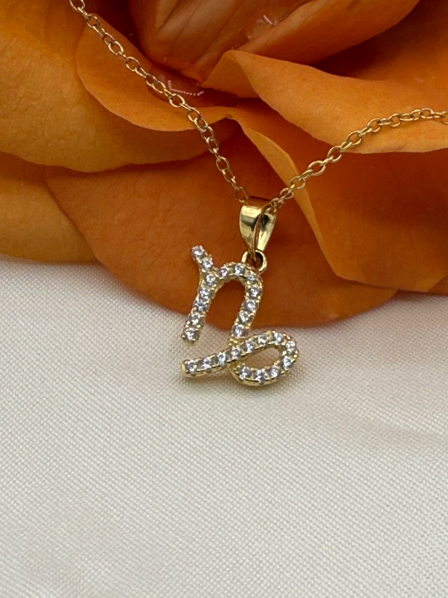 Zodiac Symbol Necklace