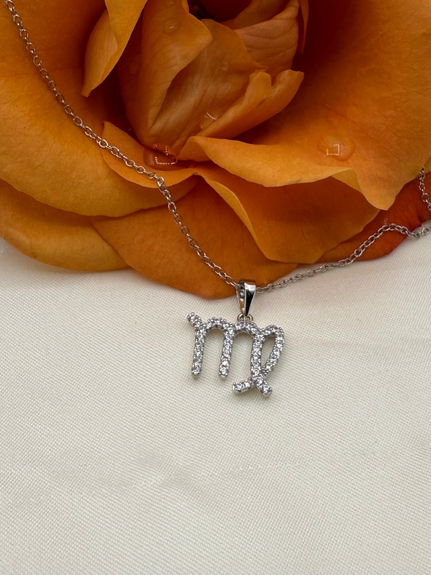 Zodiac Symbol Necklace