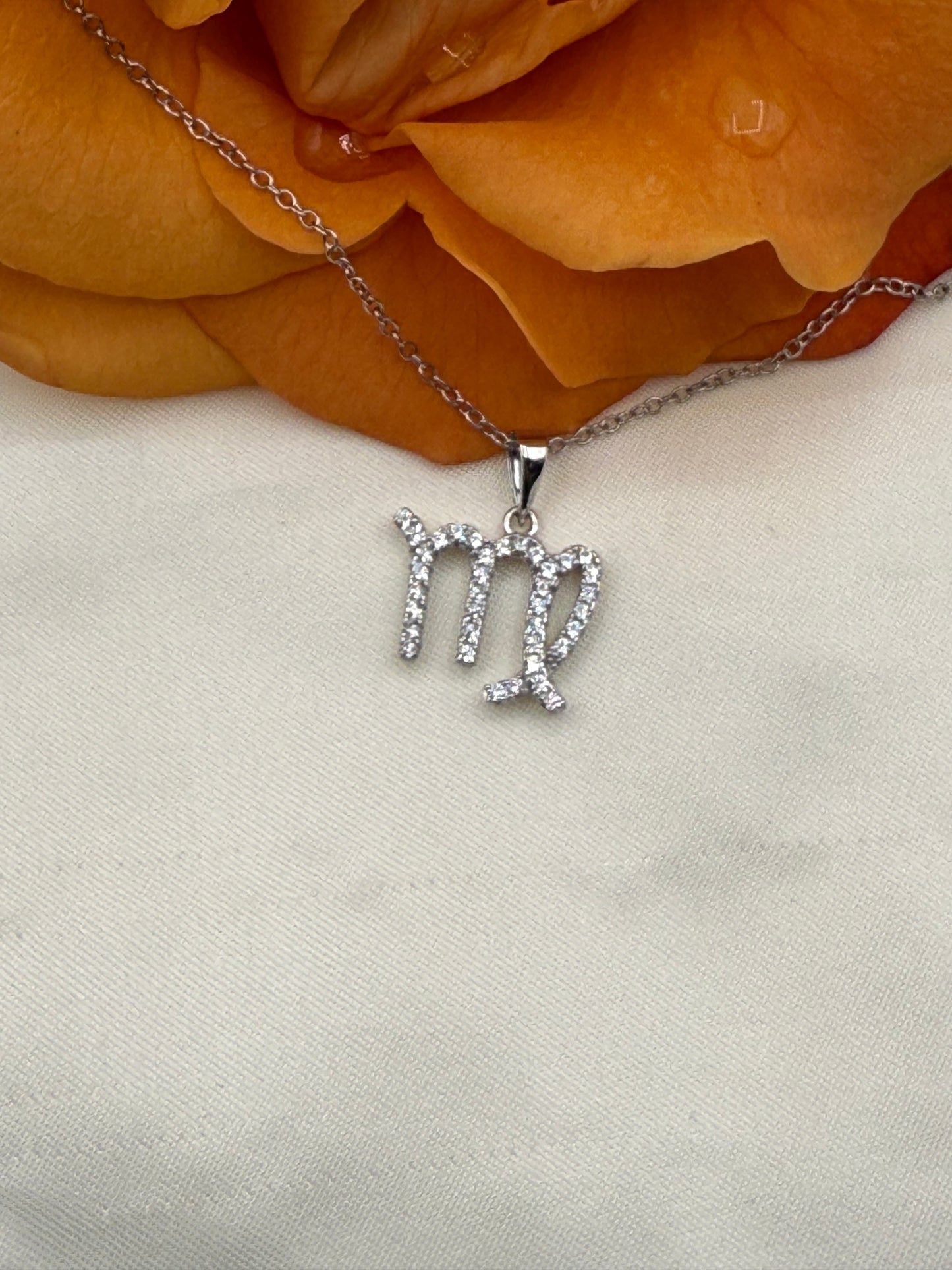 Zodiac Symbol Necklace