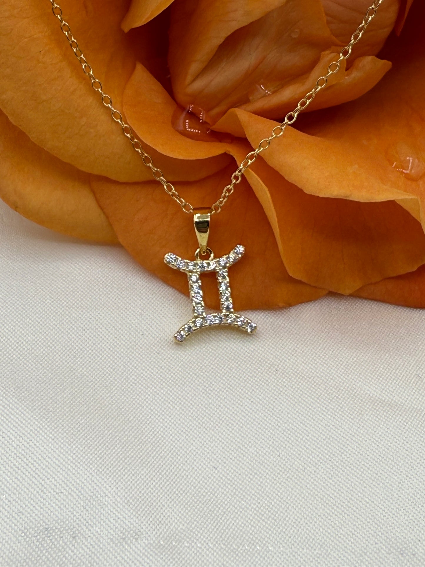 Zodiac Symbol Necklace