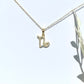 Zodiac Symbol Necklace
