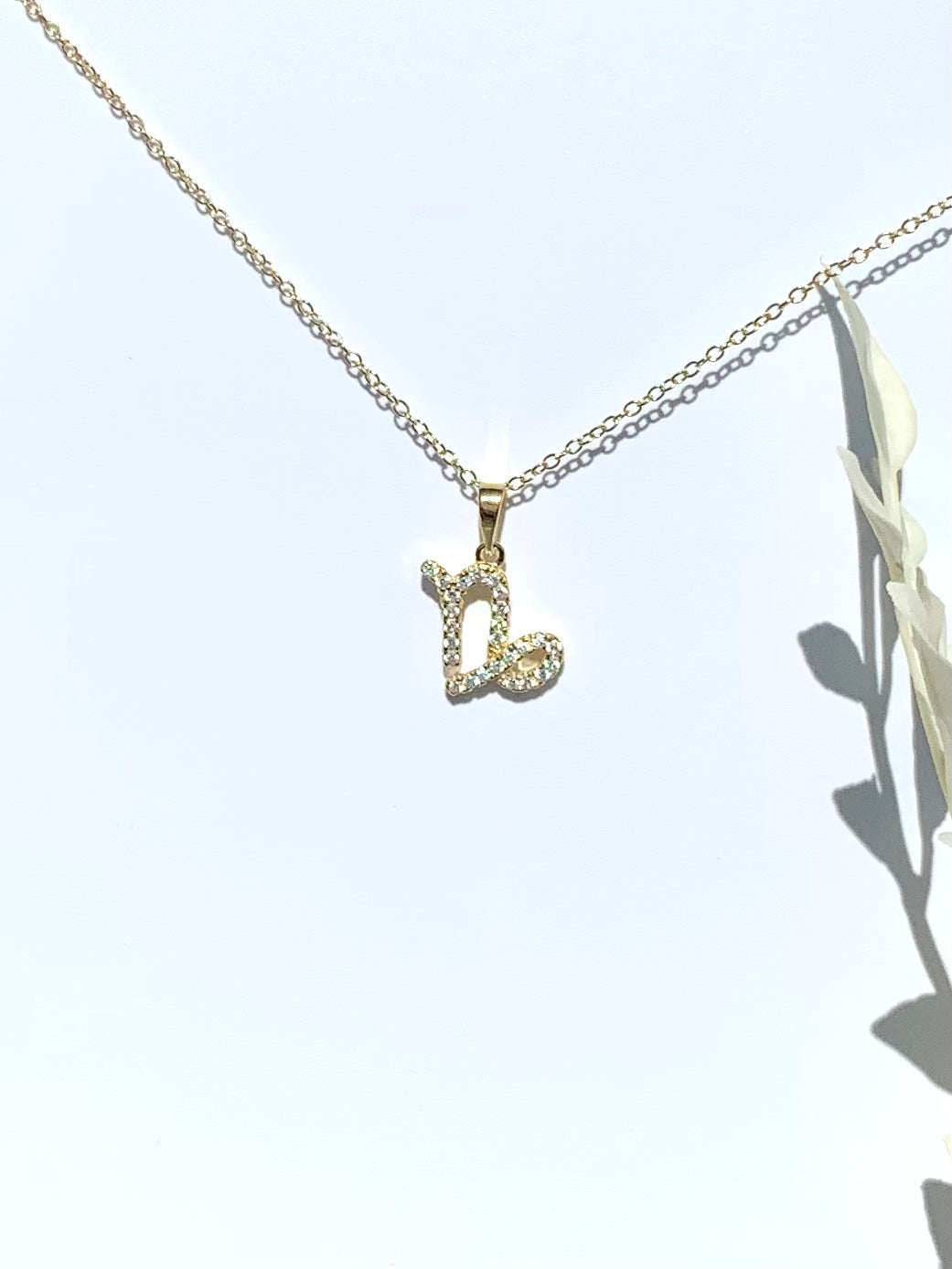 Zodiac Symbol Necklace