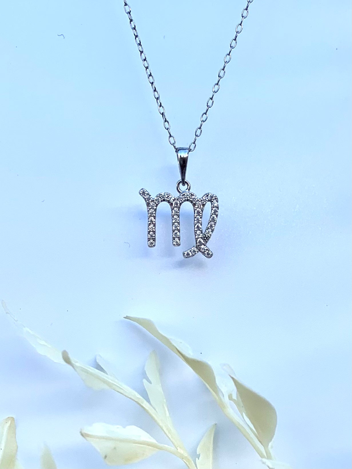 Zodiac Symbol Necklace