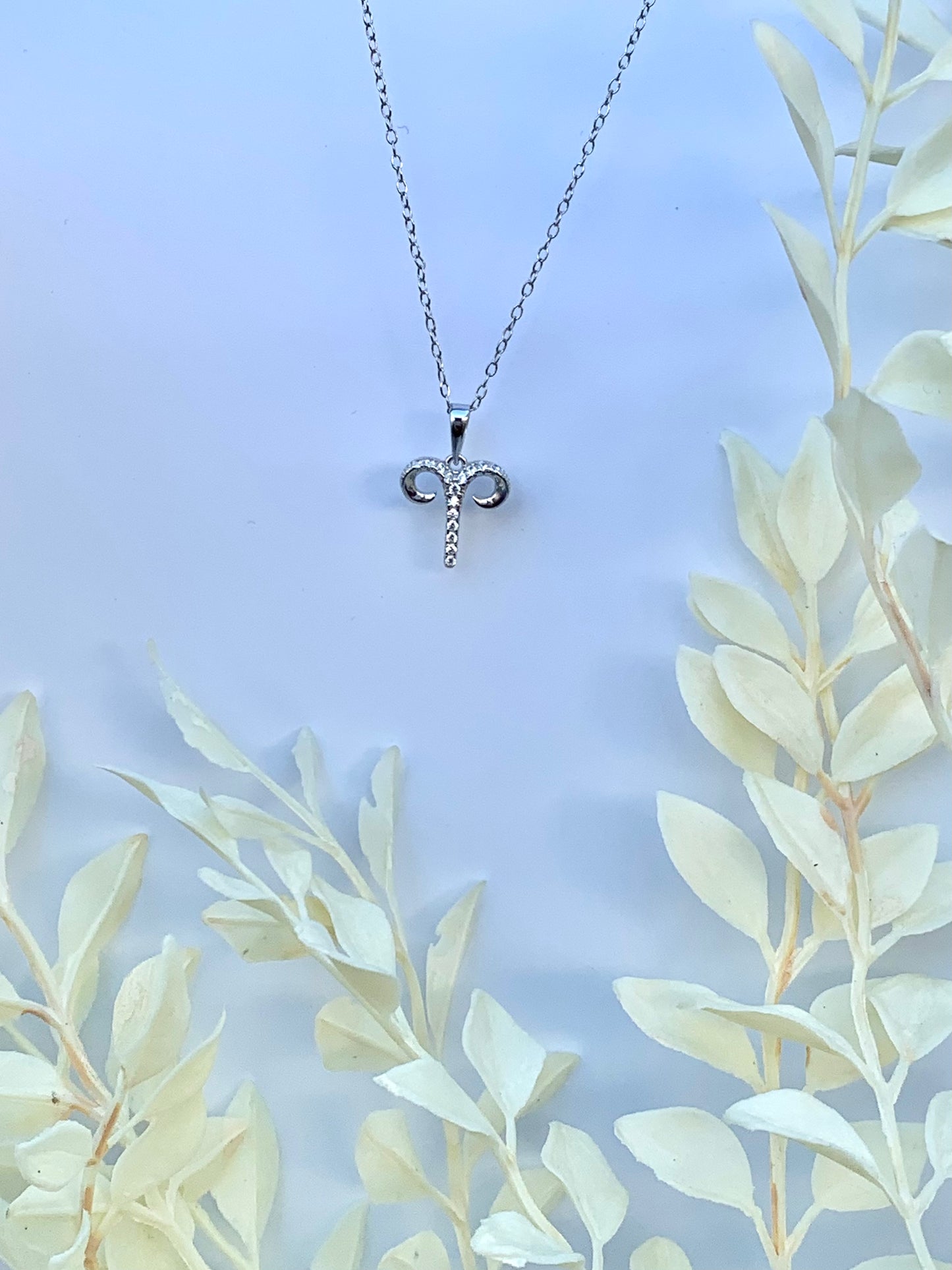 Zodiac Symbol Necklace